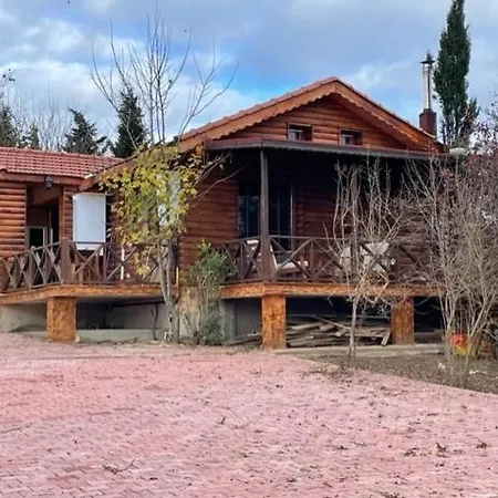 Villa Elbasan