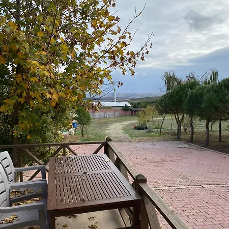 فيلة Elbasan اسطنبول